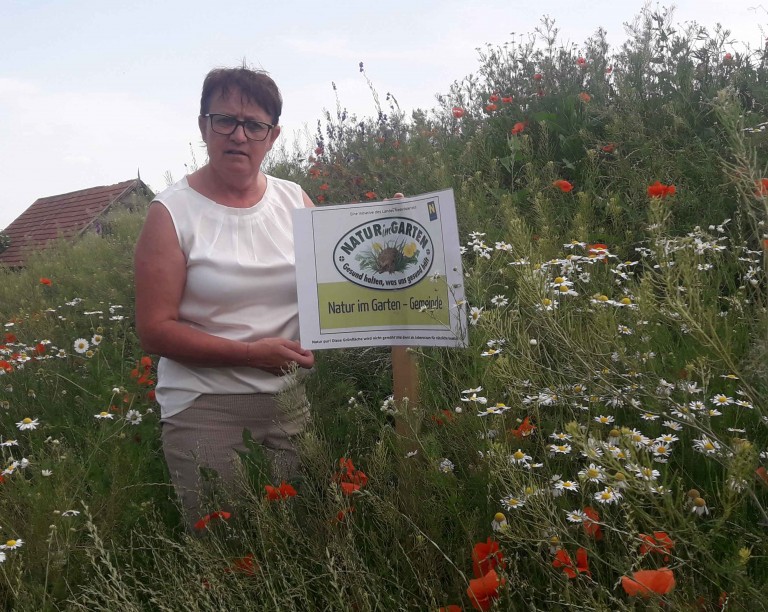 Gartenberatung für Bestellung am Heckentag 2019