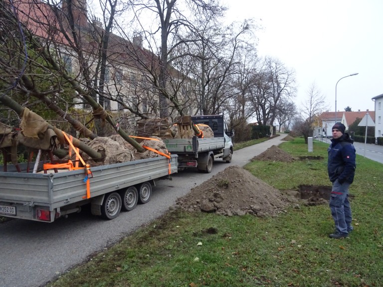 Bericht aus dem Ausschuss für Grünanlagen, Friedhöfe, Parks und Spielplätze: